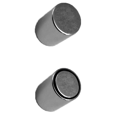 Hochleistungs-Kraftmagnet für Glasboard Ø 10,0 mm x 20,0 mm - 2 Stück