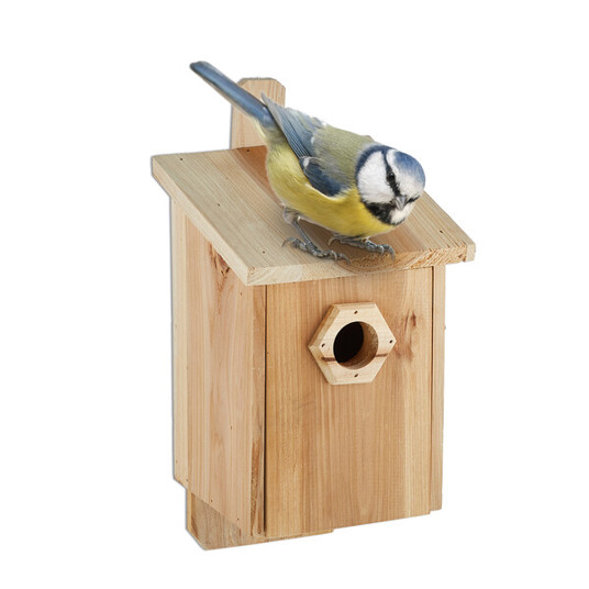 Natürlicher Nistkasten für Vögel