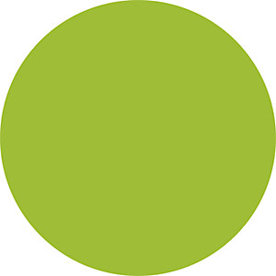 Kreis Magnet-Symbol Ø 30 mm - 20 Stück - Grün